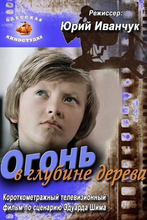 Poster de Огонь в глубине дерева