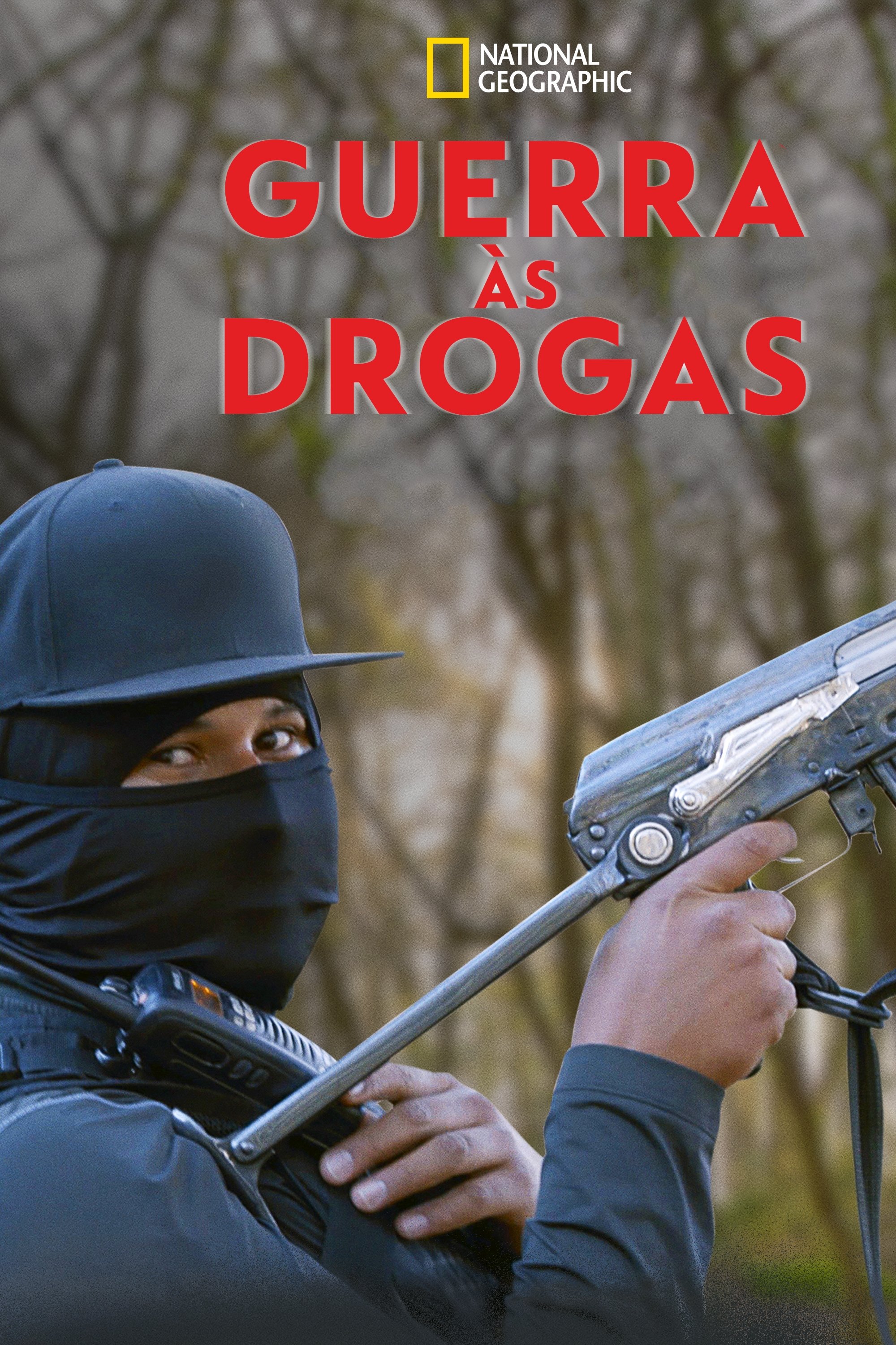 Poster de Temporada 2