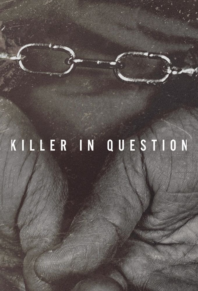 Poster de Killer In Question