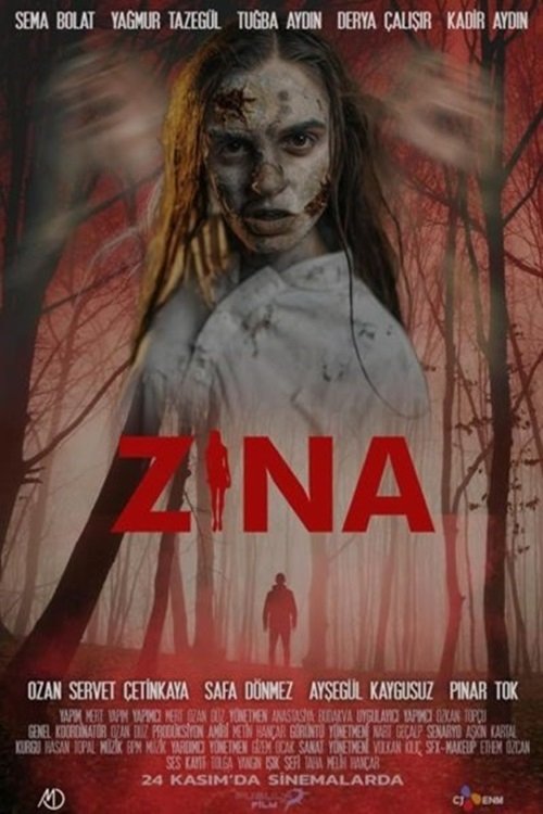 Poster de Zina
