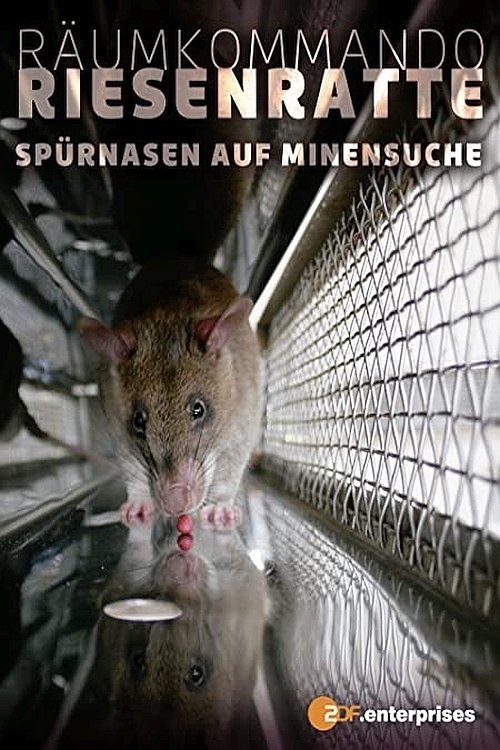 Poster de Räumkommando Riesenratte - Spürnasen auf Minensuche