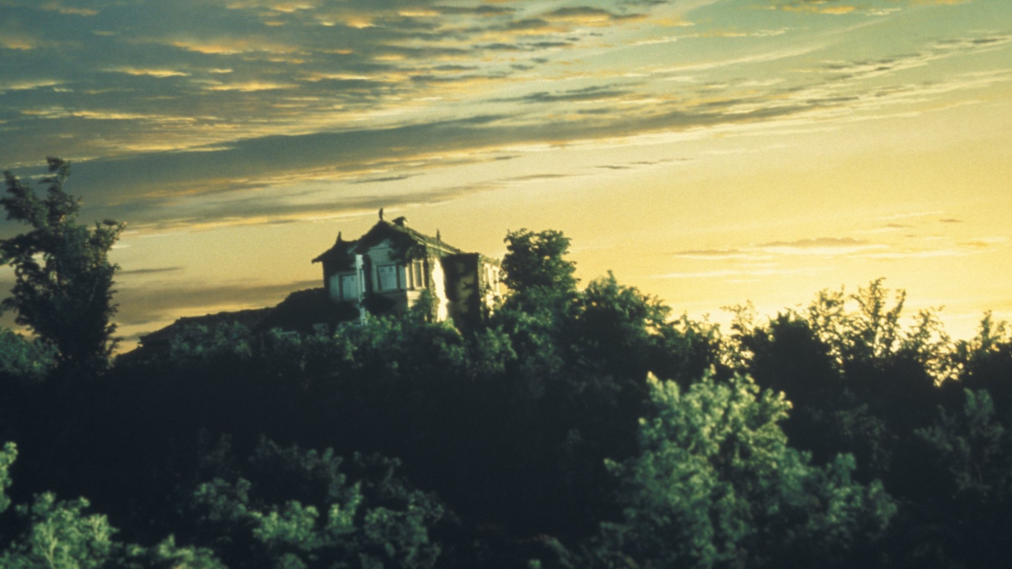 Backdrop image