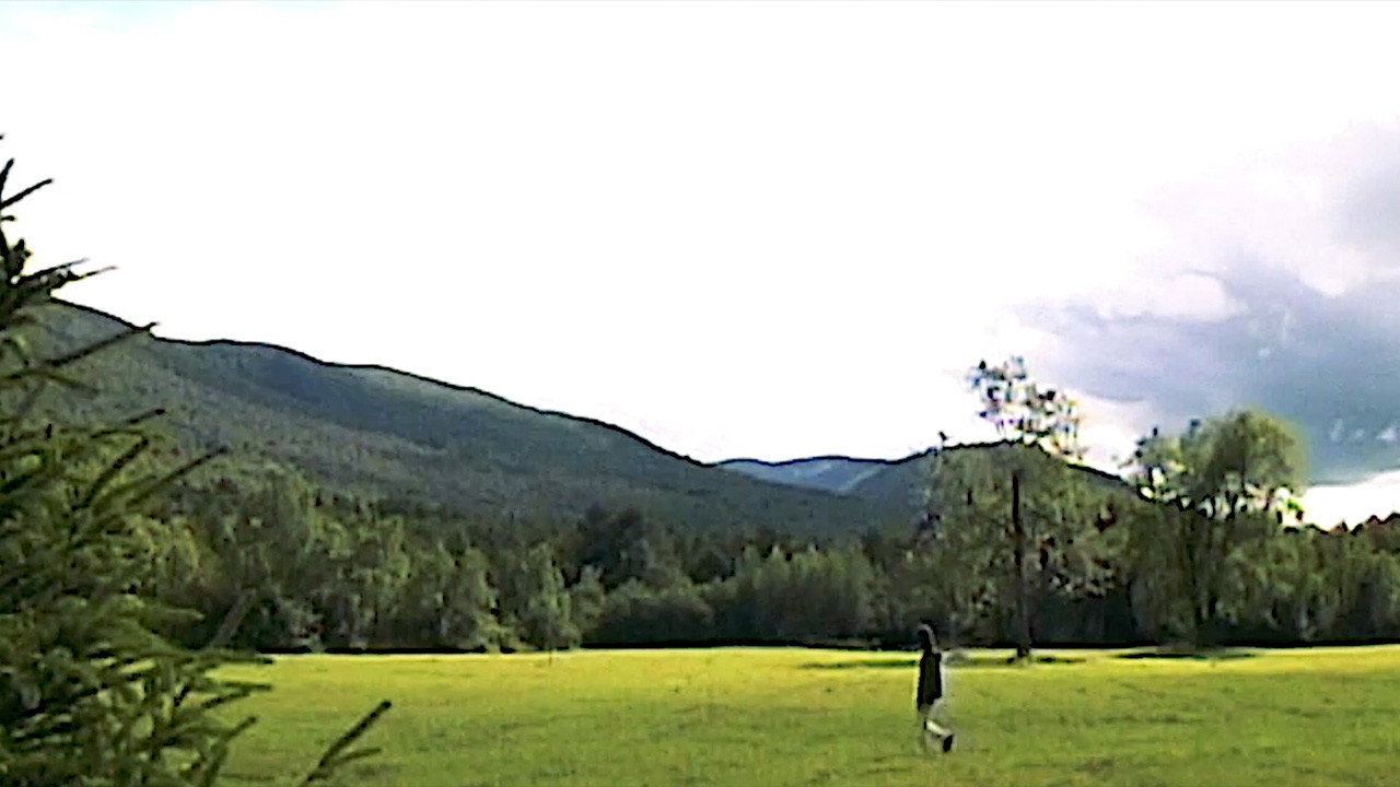 Director