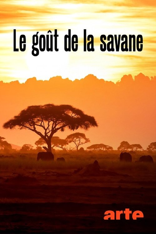 Poster de Le Goût de la savane : Herbivores et carnivores, festins croisés