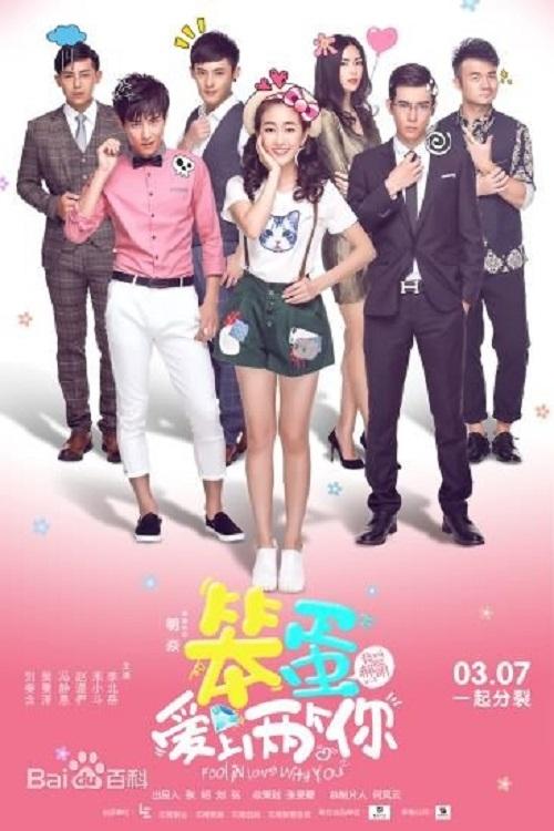 Poster de 笨蛋爱上两个你