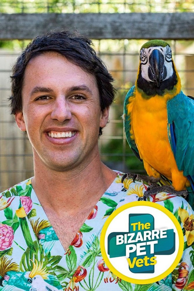 Poster de The Bizarre Pet Vets