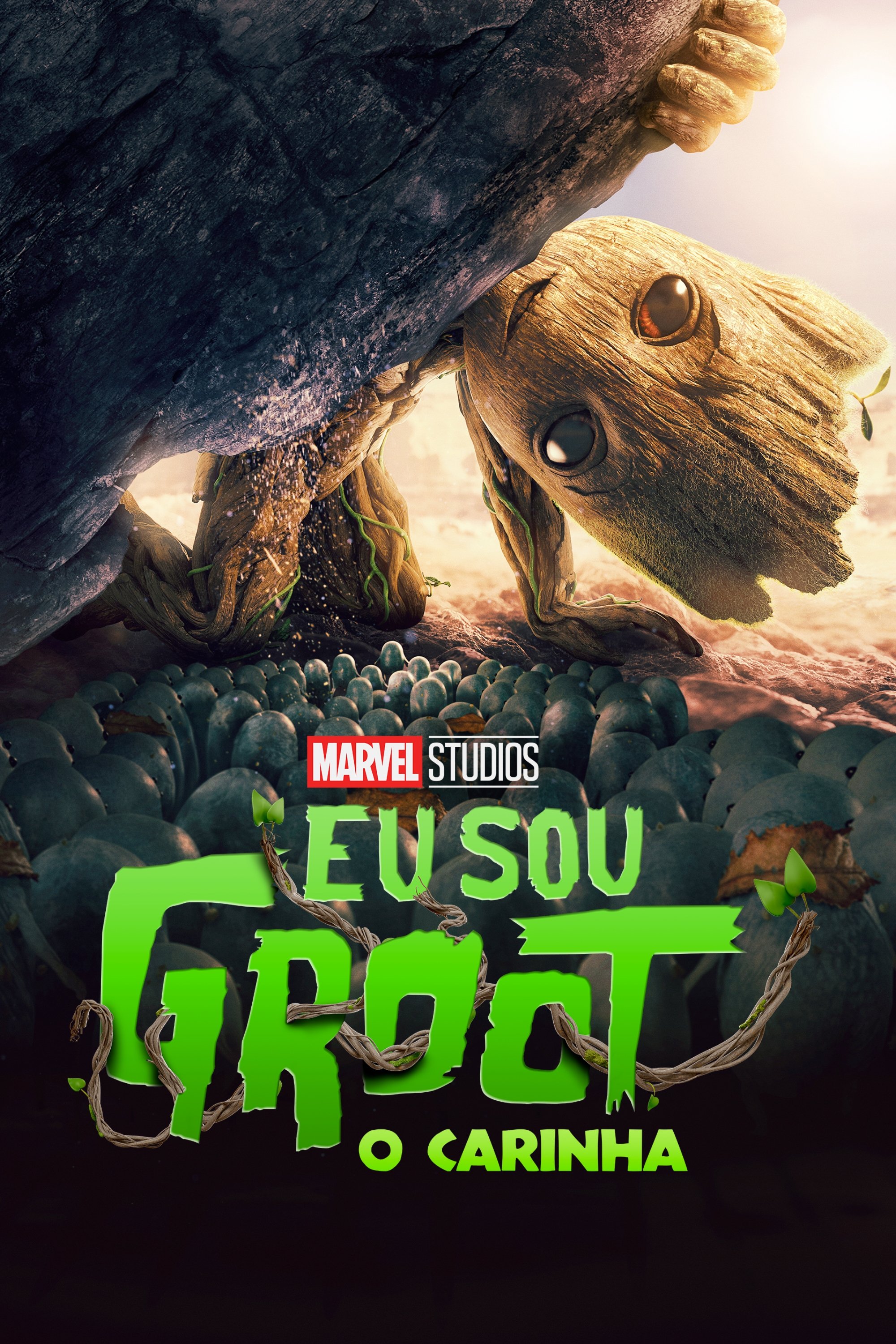Poster de O Carinha