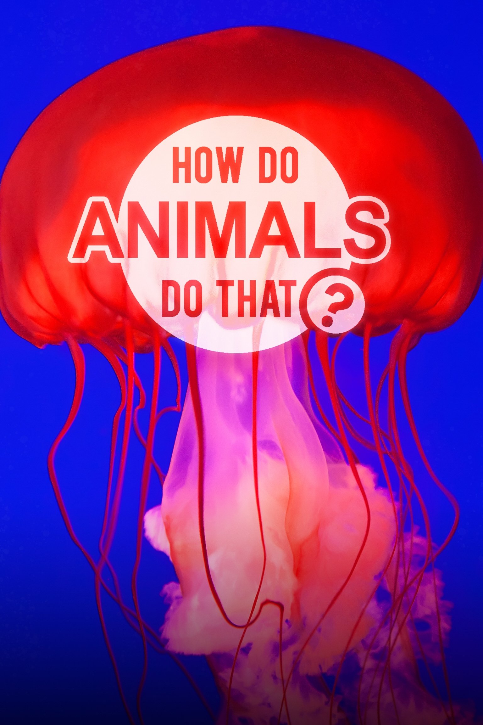 Poster de O Incrível Mundo Animal