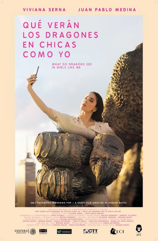 Poster de Qué Veran Los Dragones En Chicas Como Yo