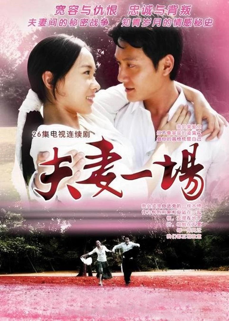 Poster de 夫妻一场