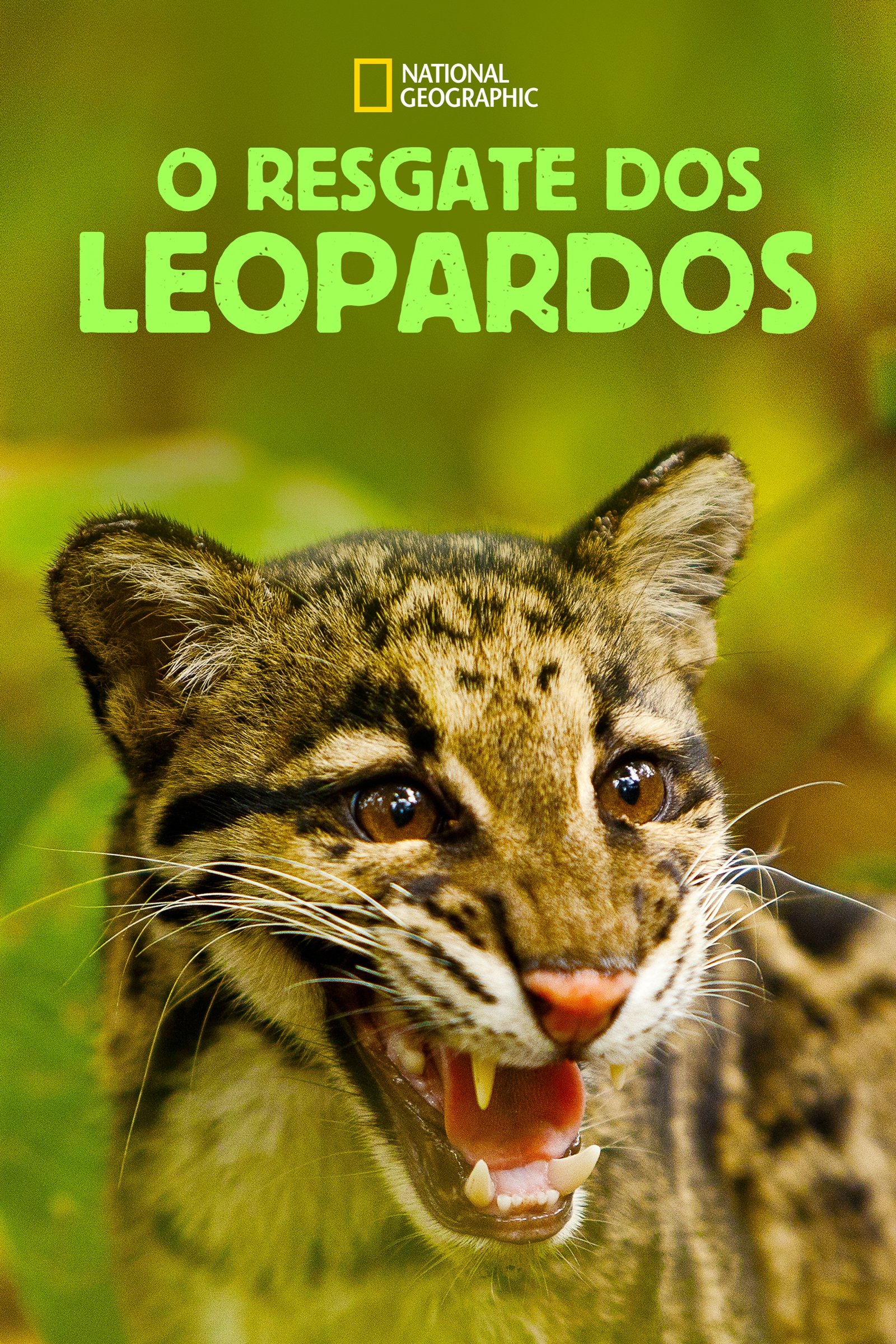 Poster de O Resgate dos Leopardos