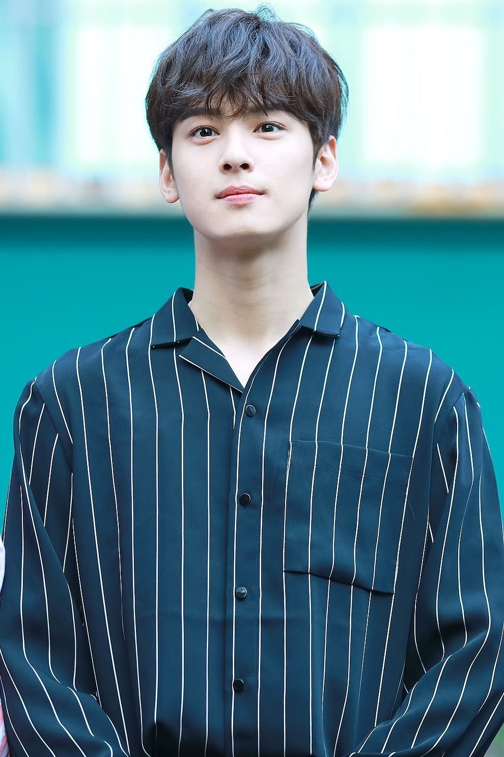 Foto de Cha Eun-woo