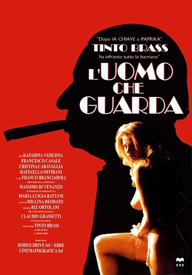 Poster de O Voyeur
