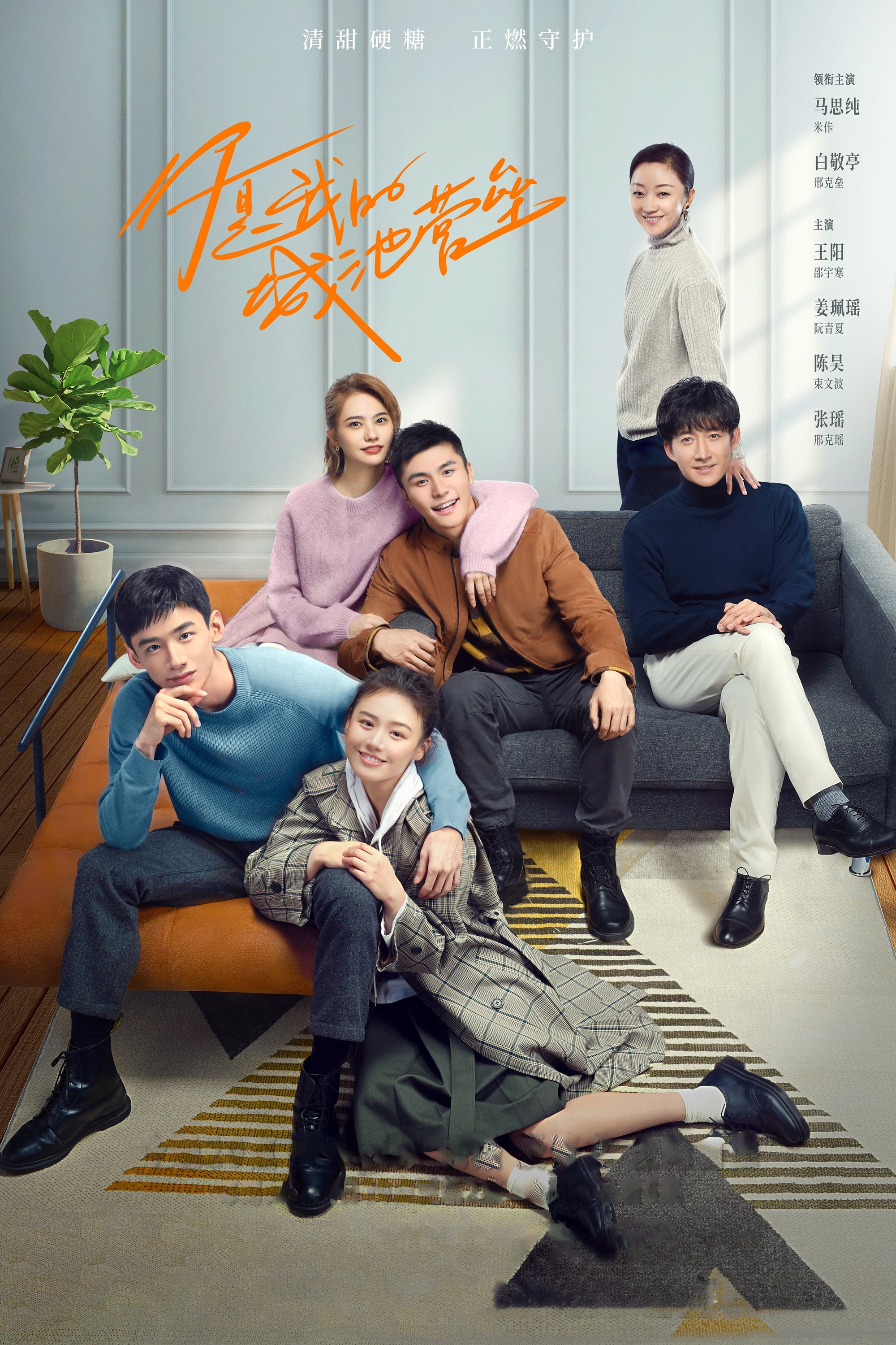 Poster de You Are My Hero