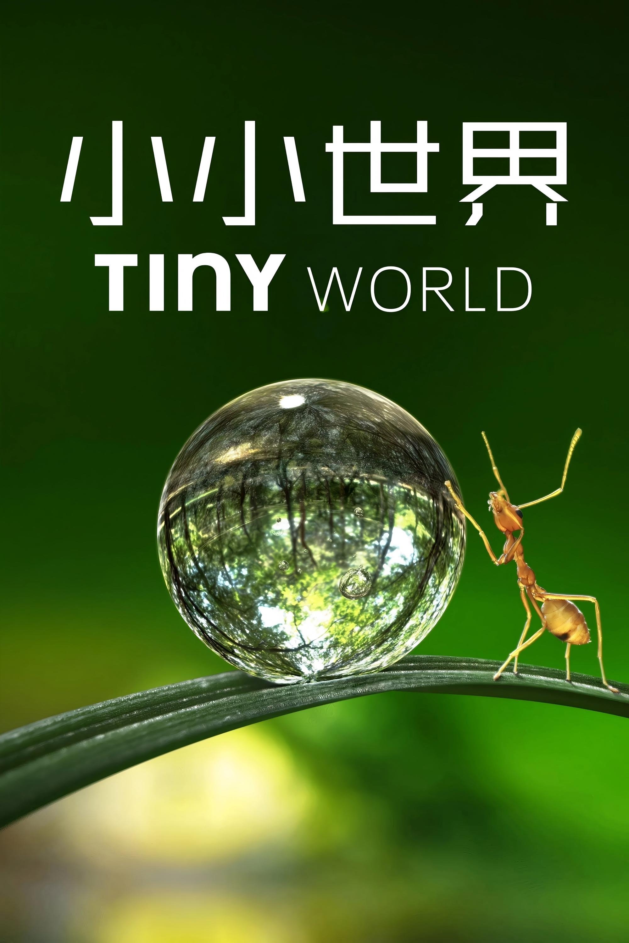 Poster of Tiny World