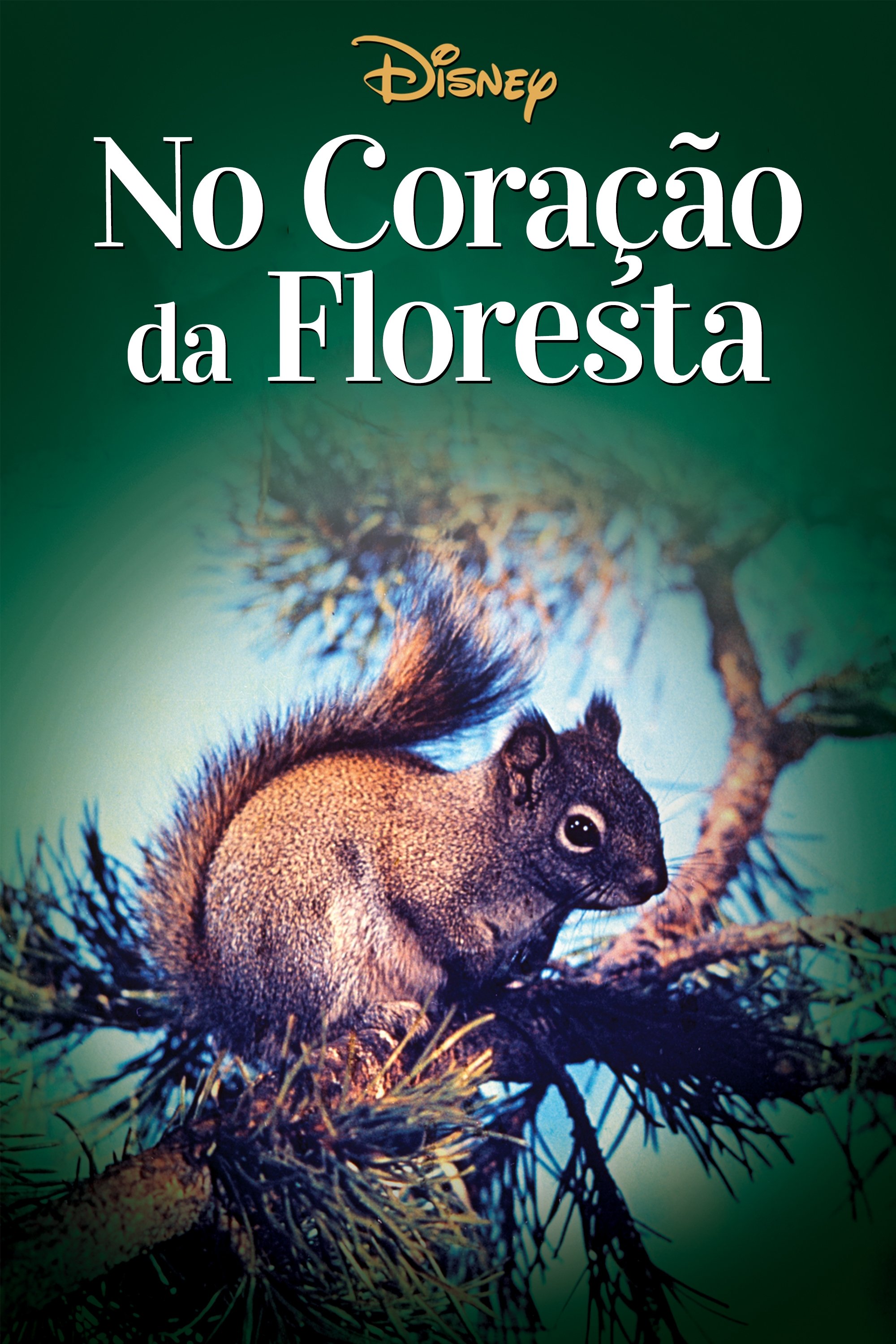 Poster de No Coração da Floresta
