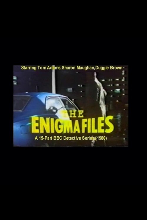 Poster de The Enigma Files