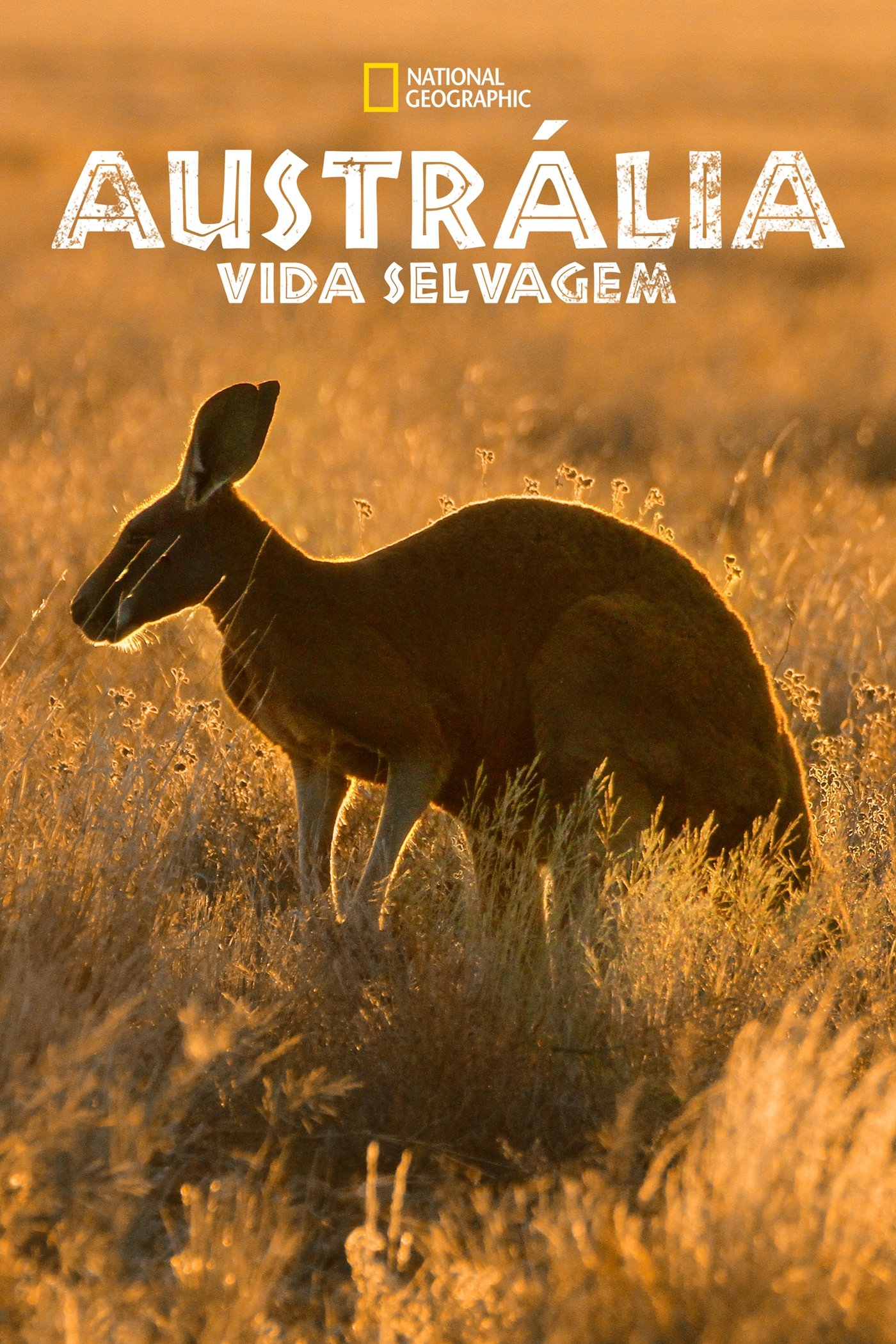 Poster de Austrália: Vida Selvagem