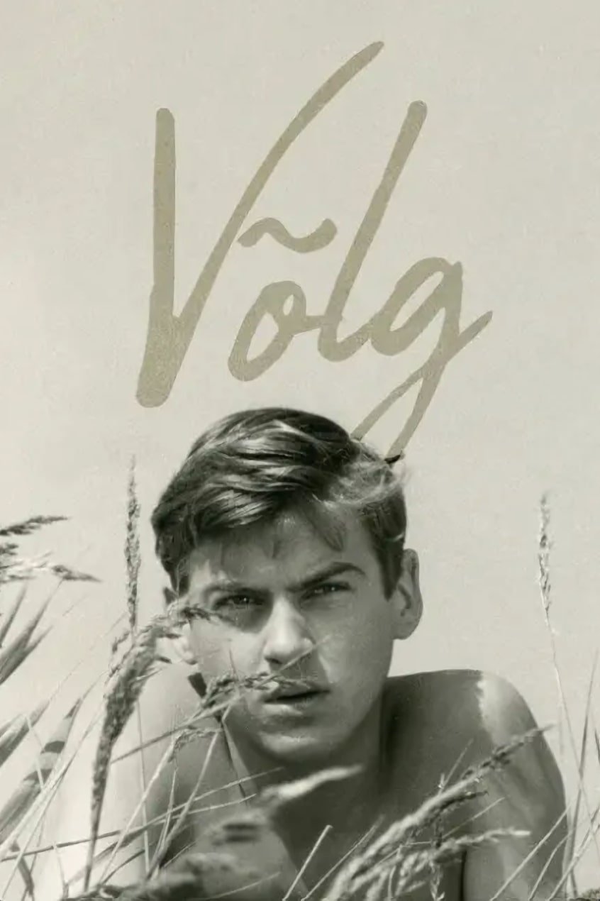 Poster de Võlg