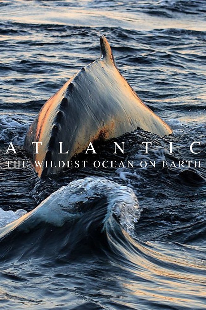 Poster de Atlantic: The Wildest Ocean on Earth