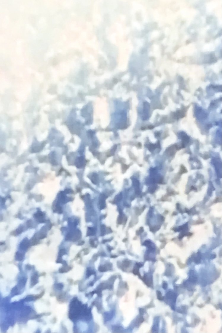 https://image.tmdb.org/t/p/original//nrsxLfaRKo8F7neaw2mtXGJNP3T.jpg
