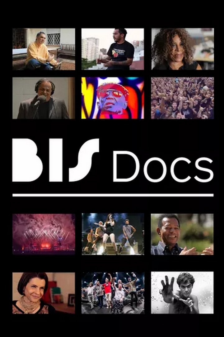 Poster de BIS Docs