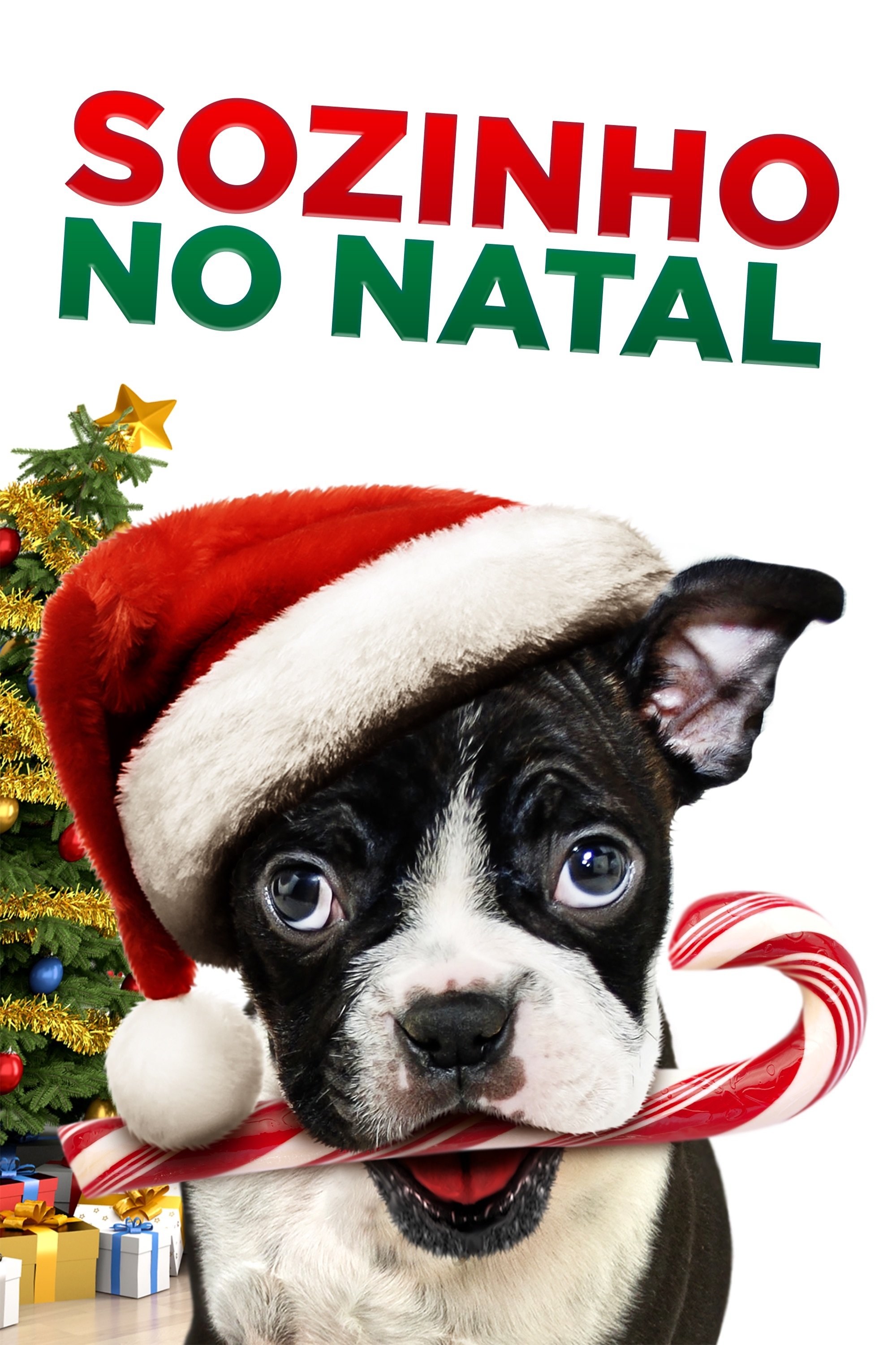Poster de Sozinho no Natal