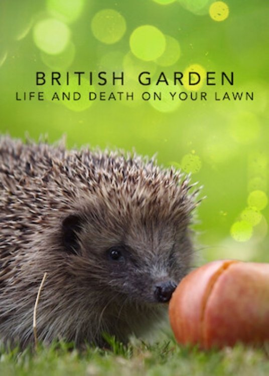 Poster de The British Garden: Life and Death on Your Lawn