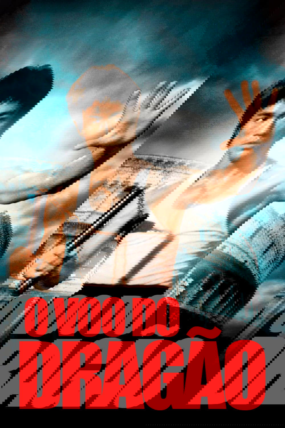 Poster de O Voo do Dragão