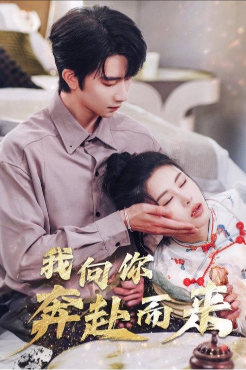 Poster de 我向你奔赴而来