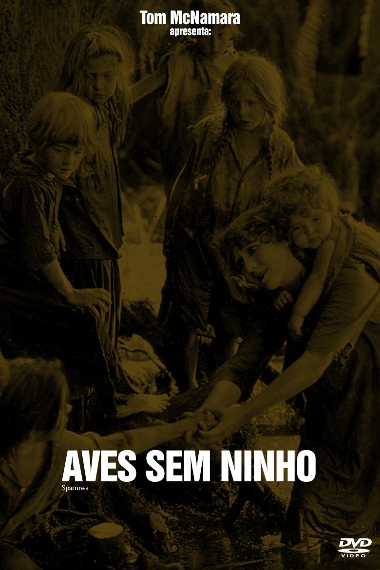 Poster de Aves Sem Ninho