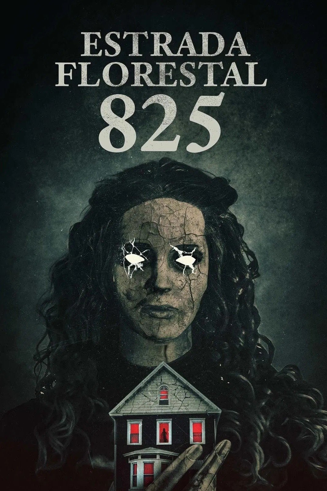 Poster de Estrada Florestal 825