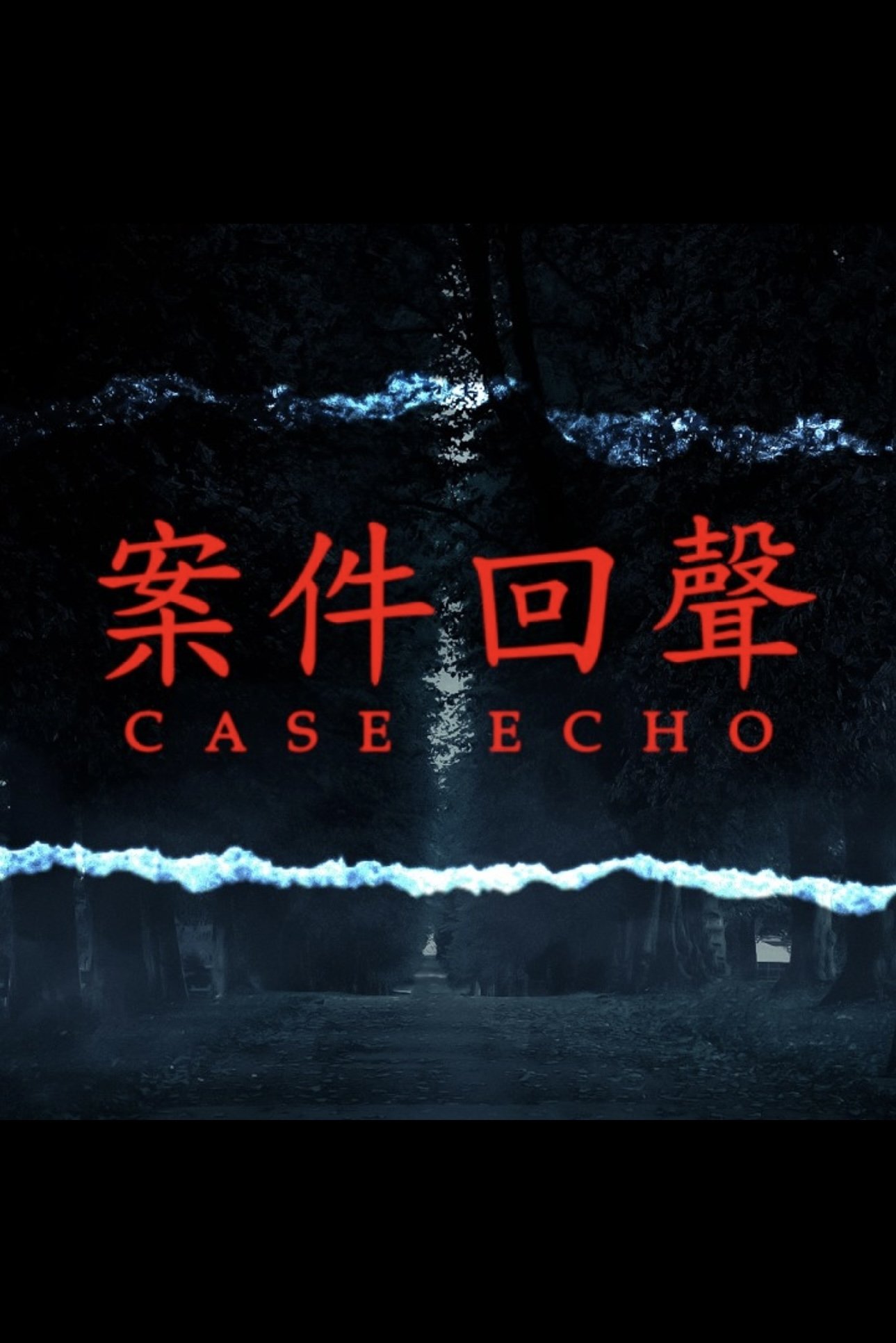 Poster de 案件回聲