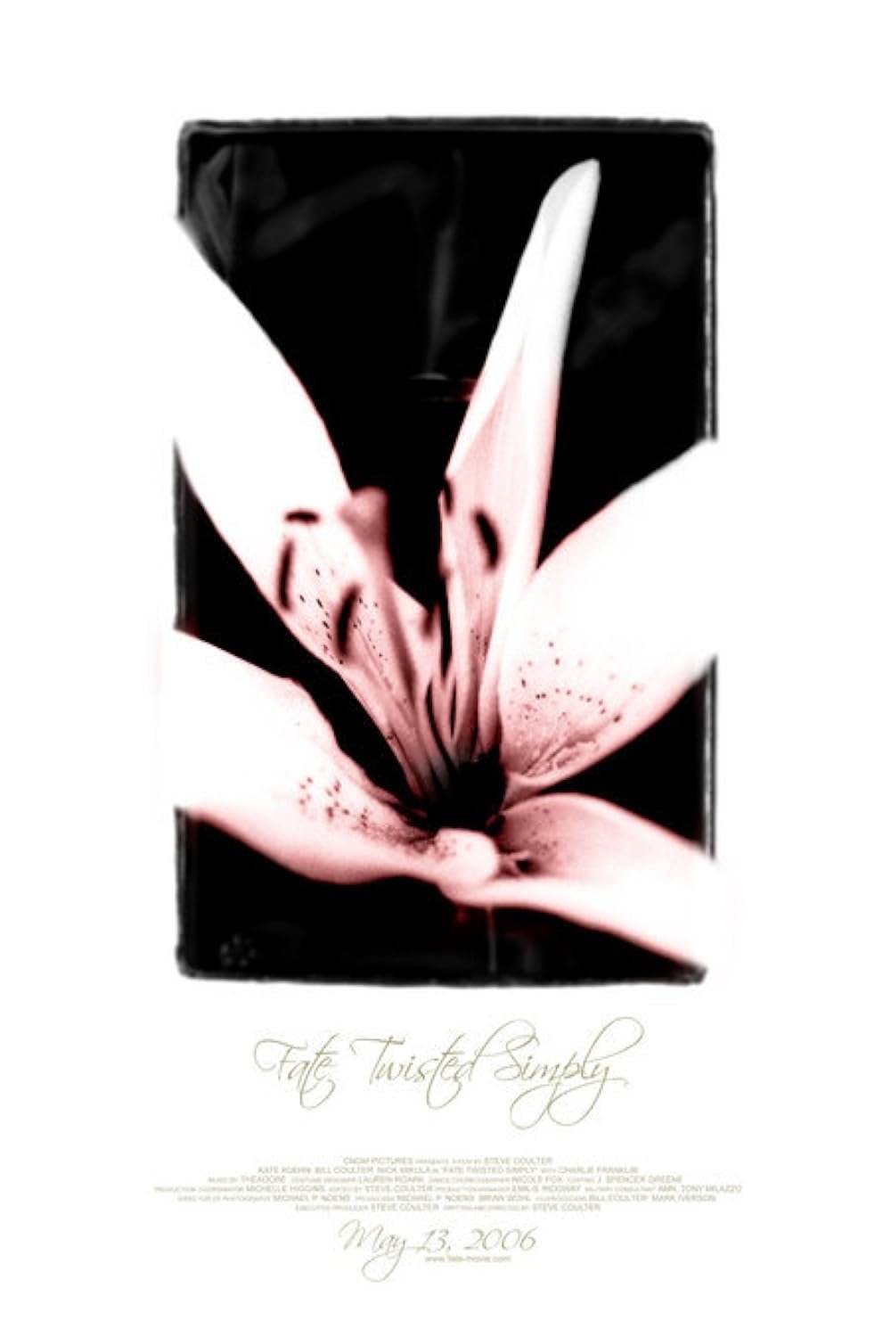 Poster de Fate Twisted Simply