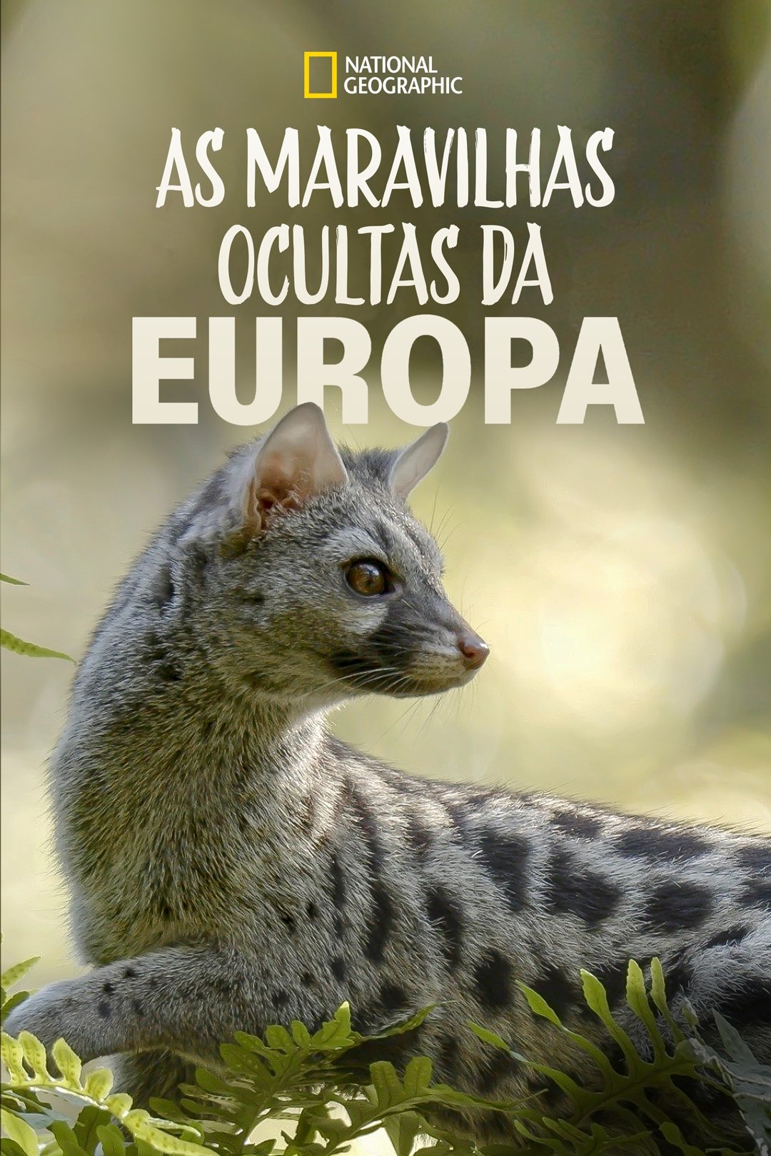 Poster de As Maravilhas Ocultas da Europa