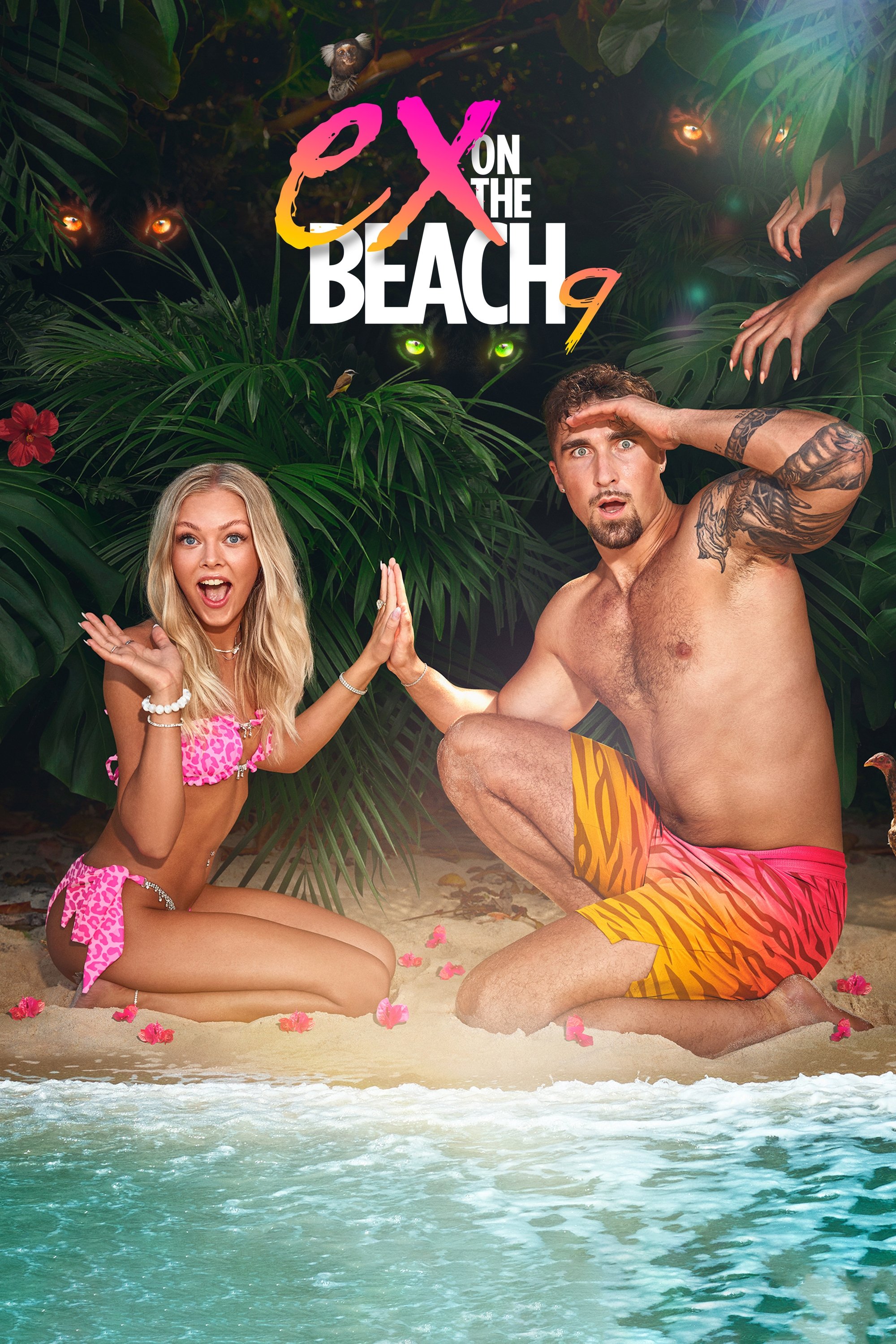 Poster de Temporada 9