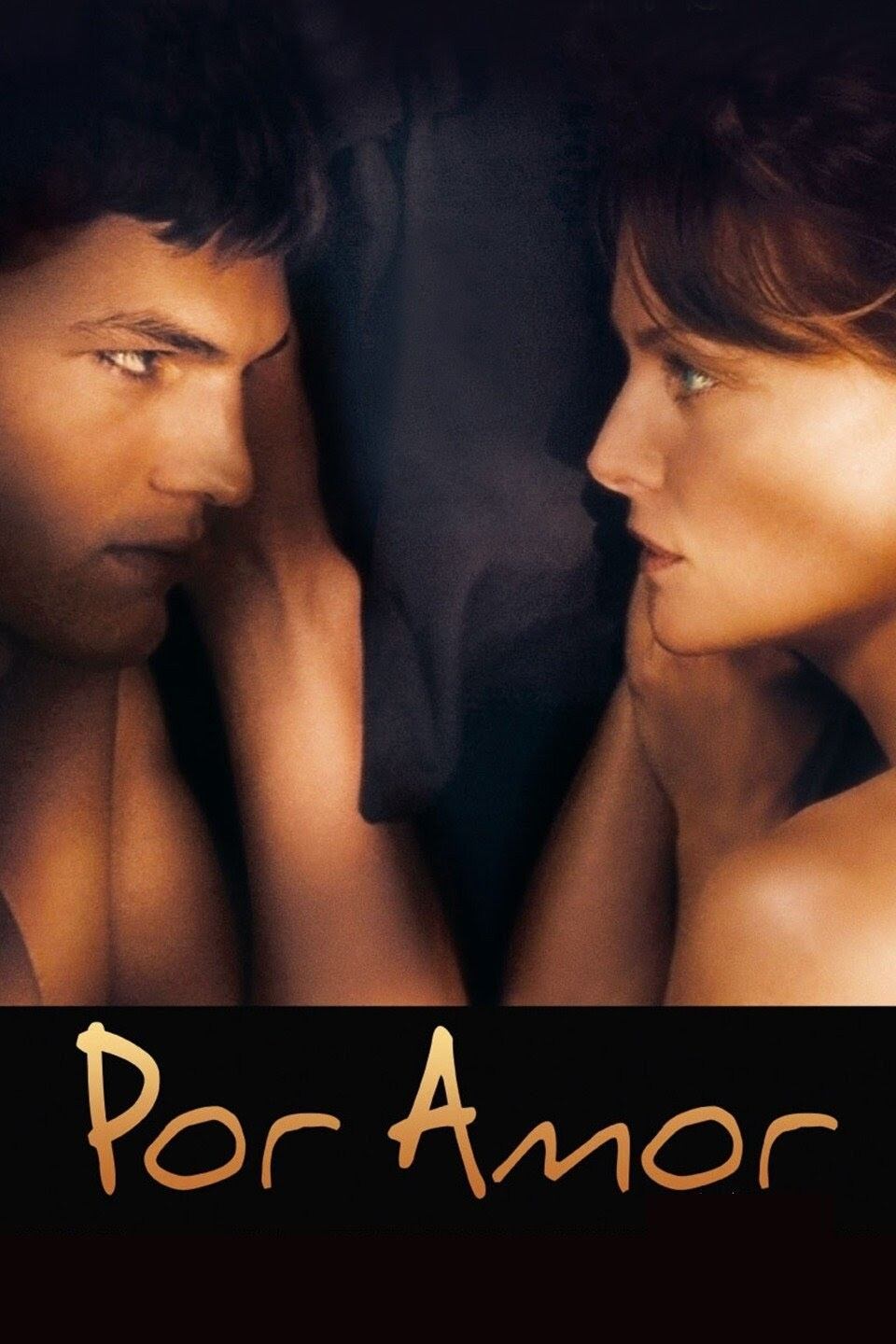 Poster de Por Amor