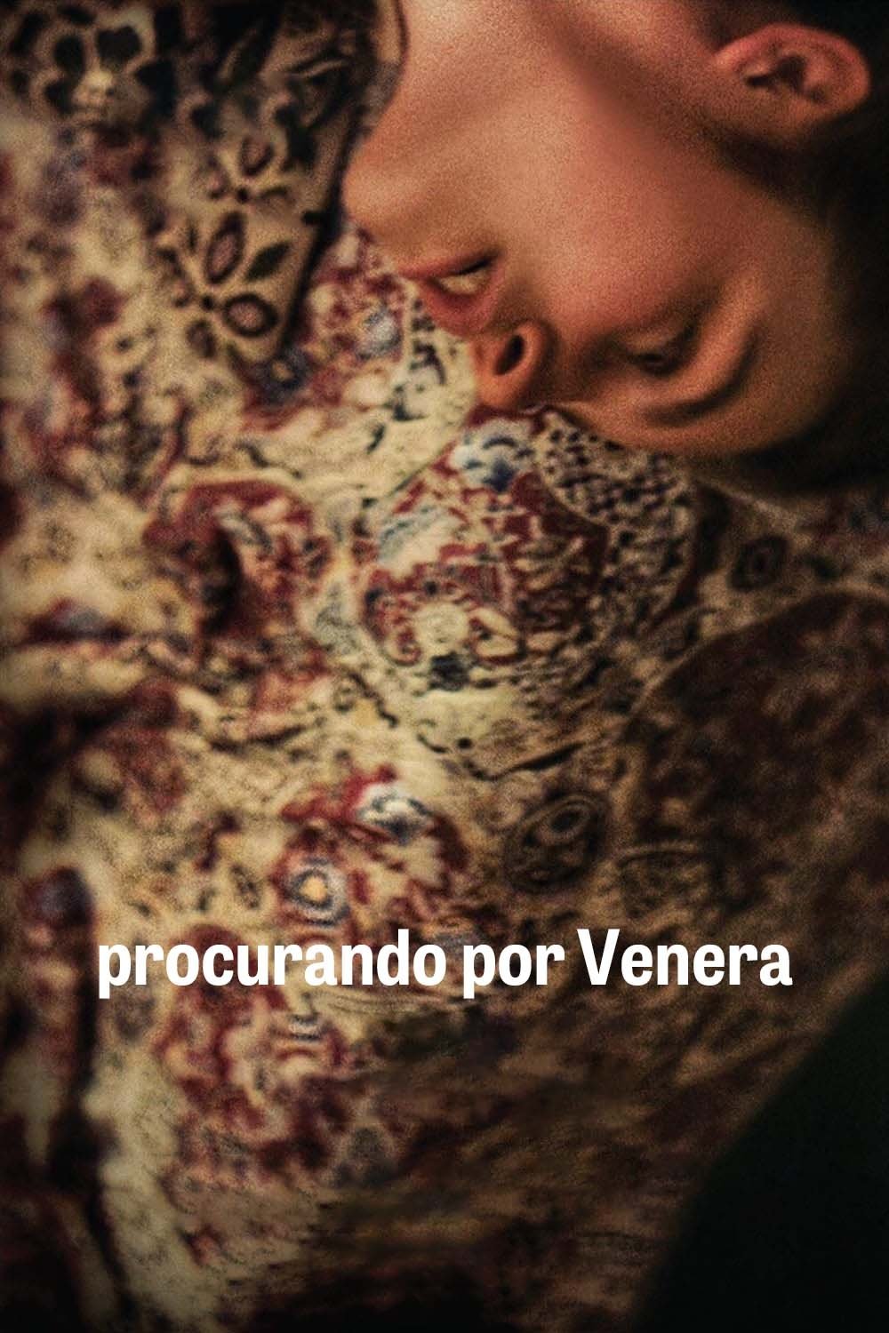 Poster de Procurando Por Venera