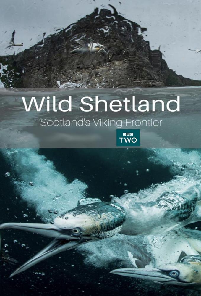 Poster de Wild Shetland: Scotland's Viking Frontier