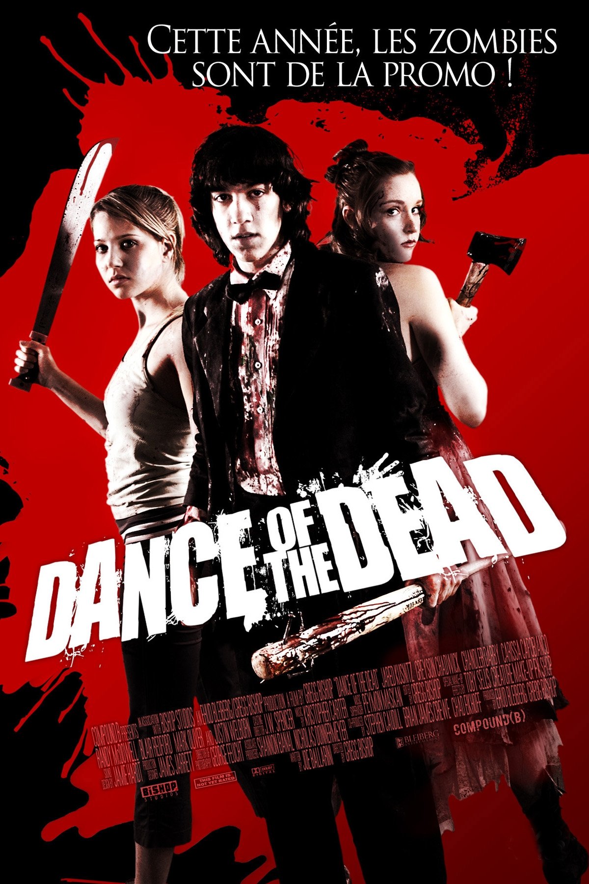Affiche du film Dance of the Dead
