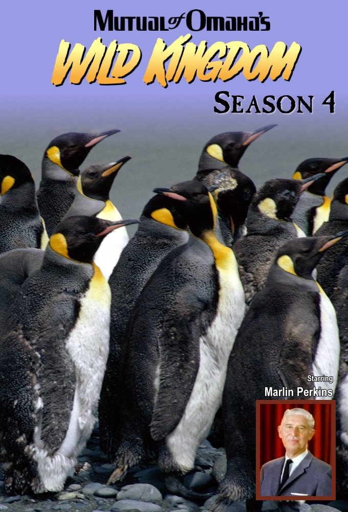 Poster de Temporada 4