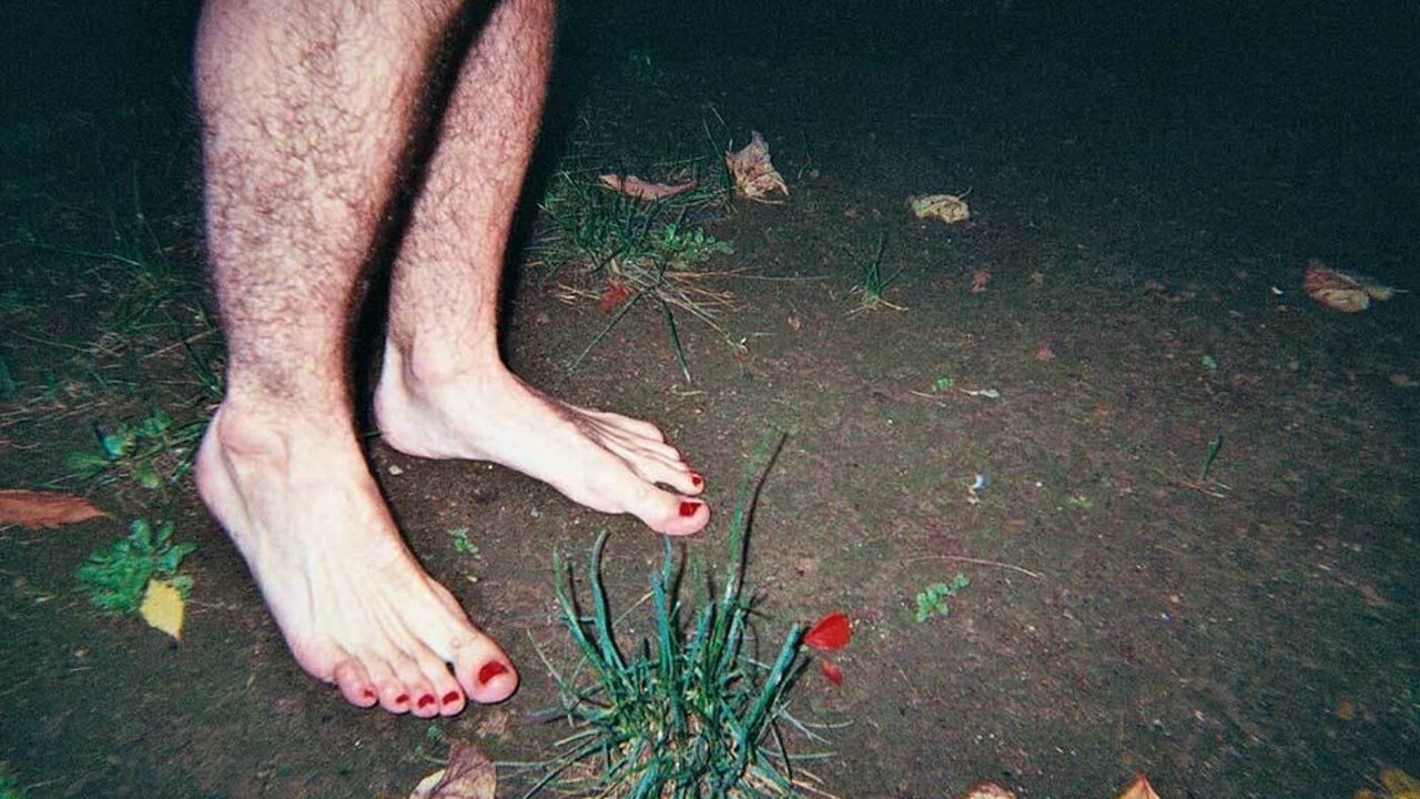 The Last Paradises