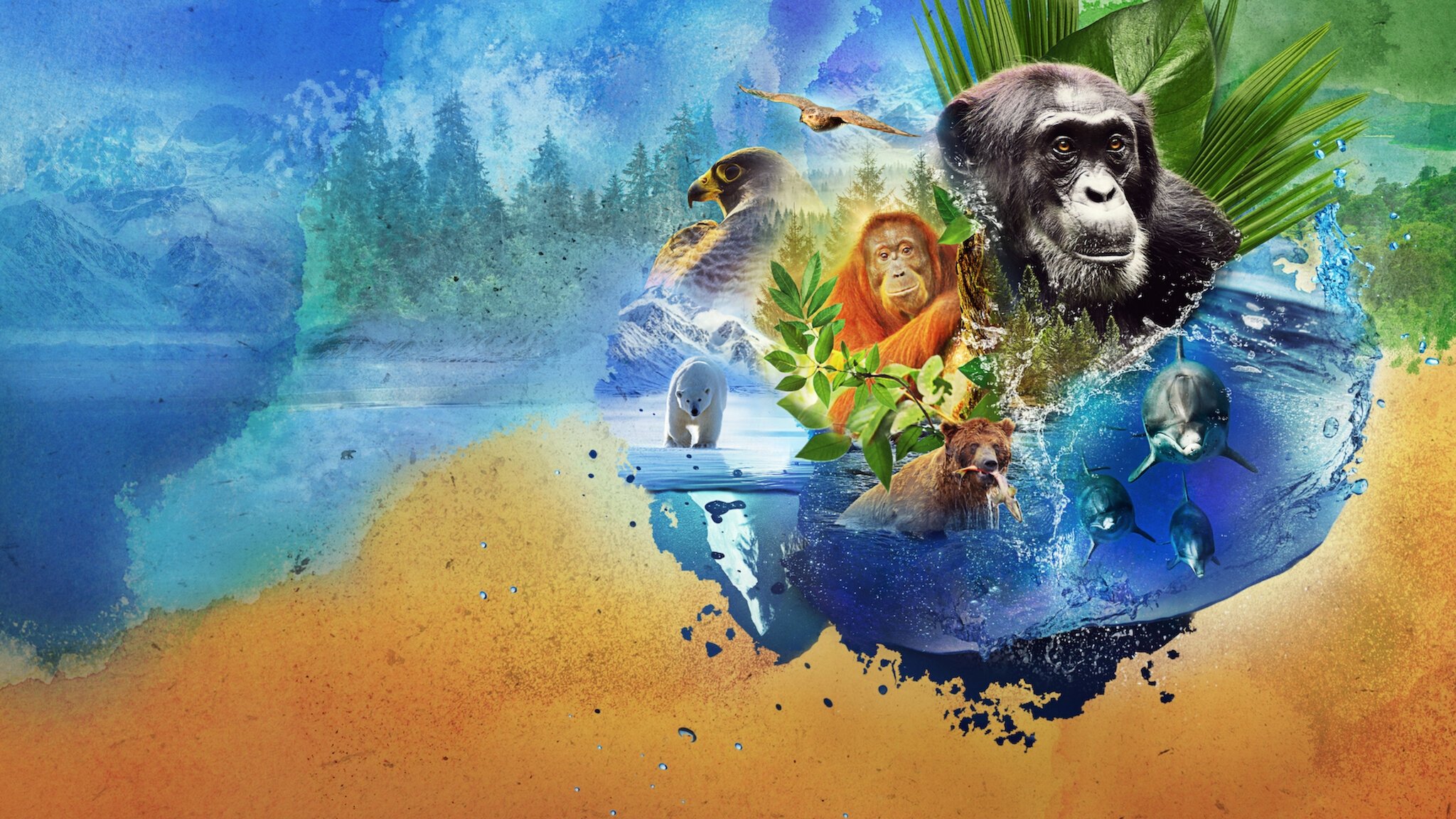 Backdrop image
