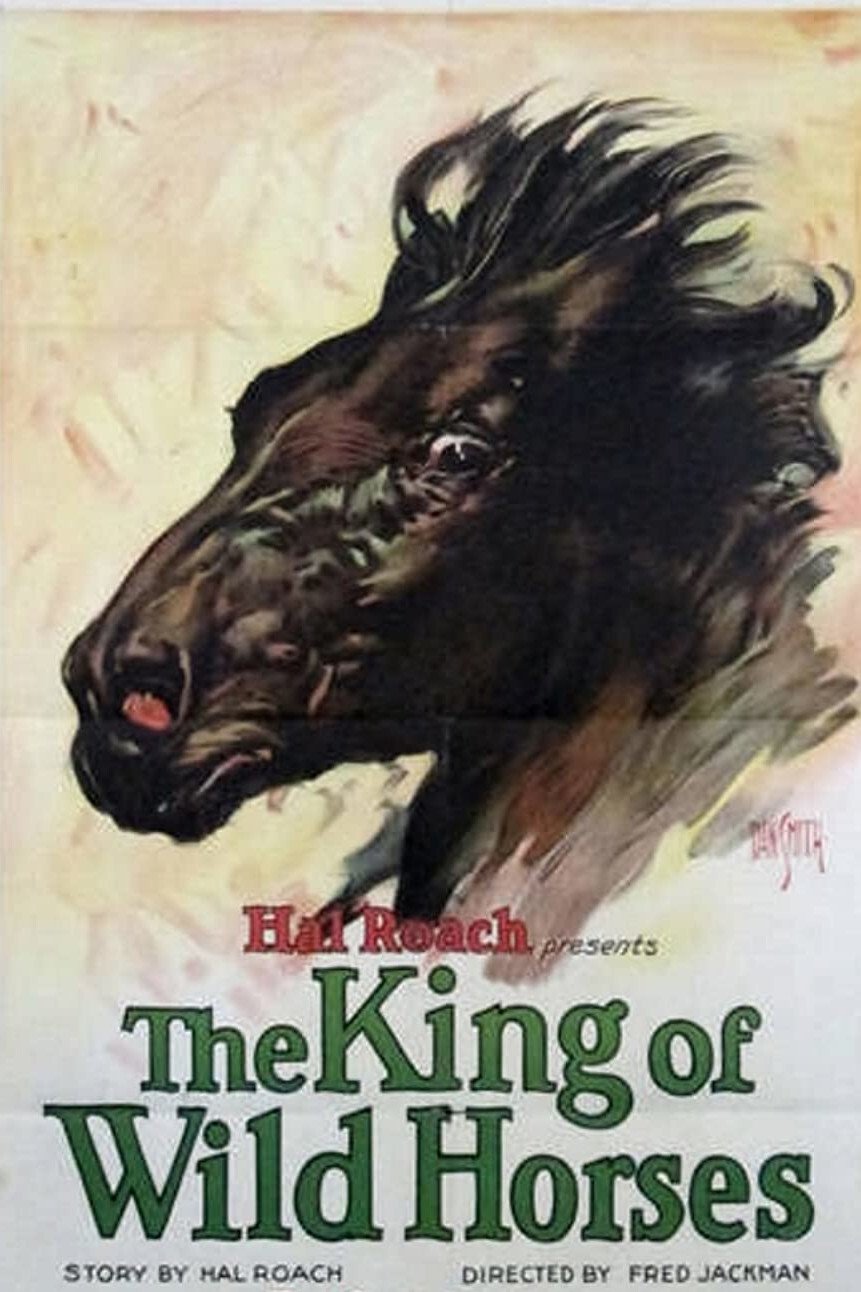 Poster de The King of the Wild Horses