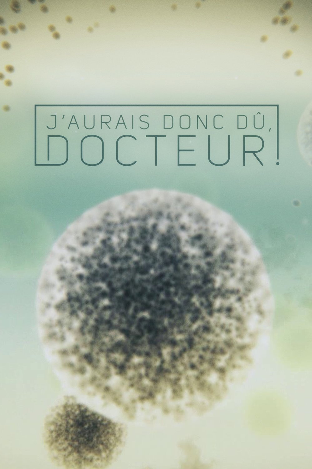 Poster de J'aurais donc dû, docteur!