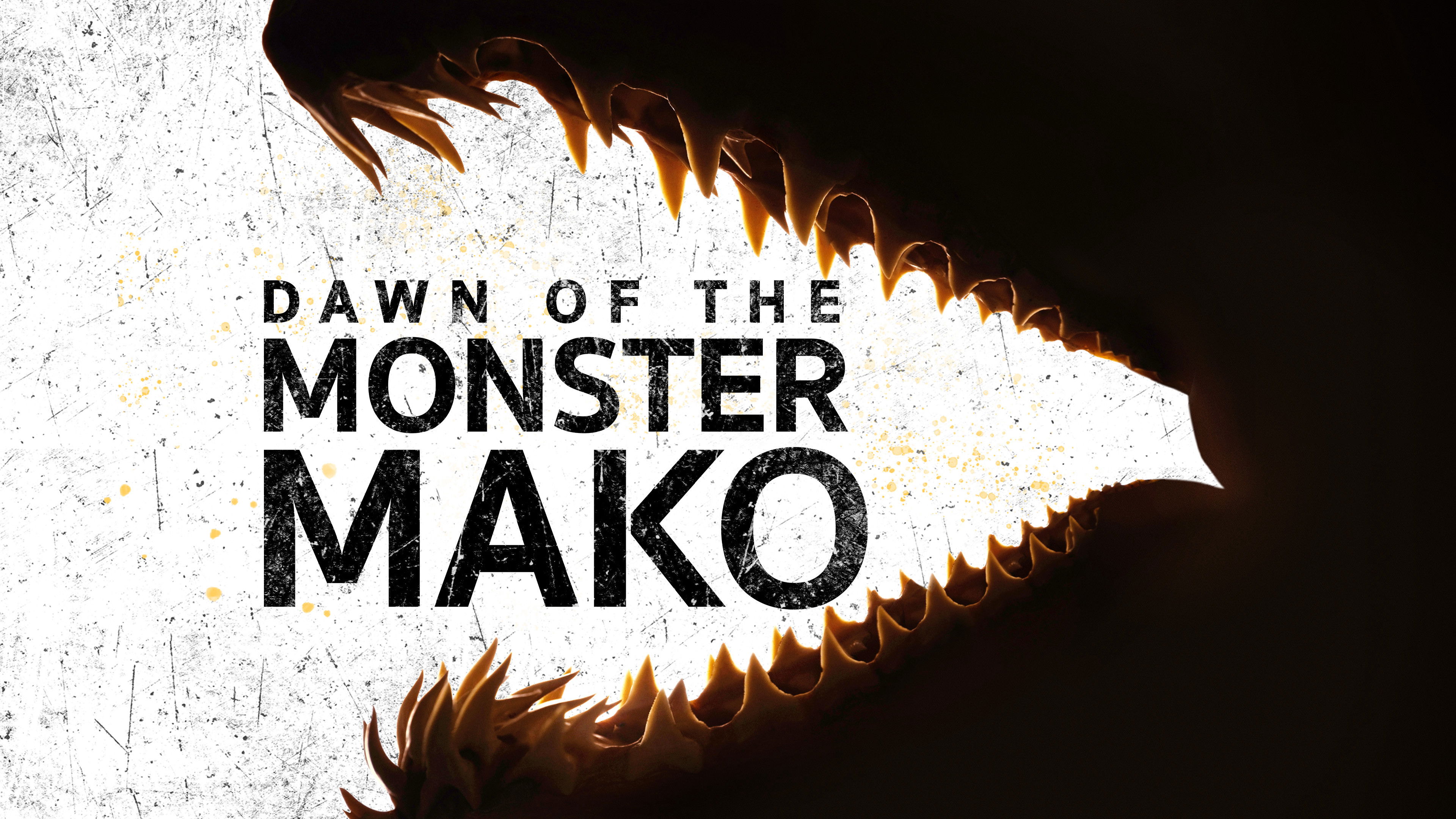 Dawn of the Monster Mako