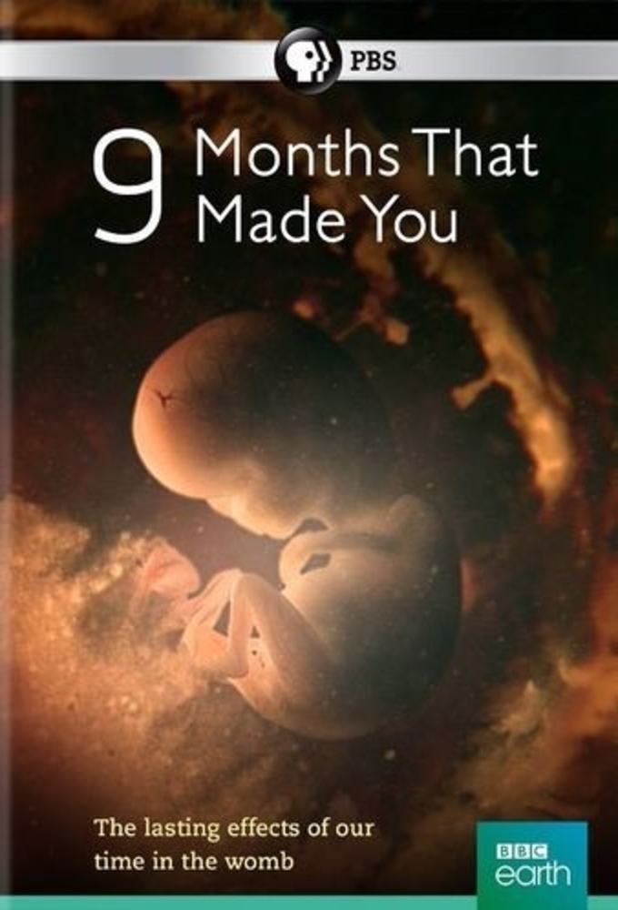 Poster of 9 Months That Made You