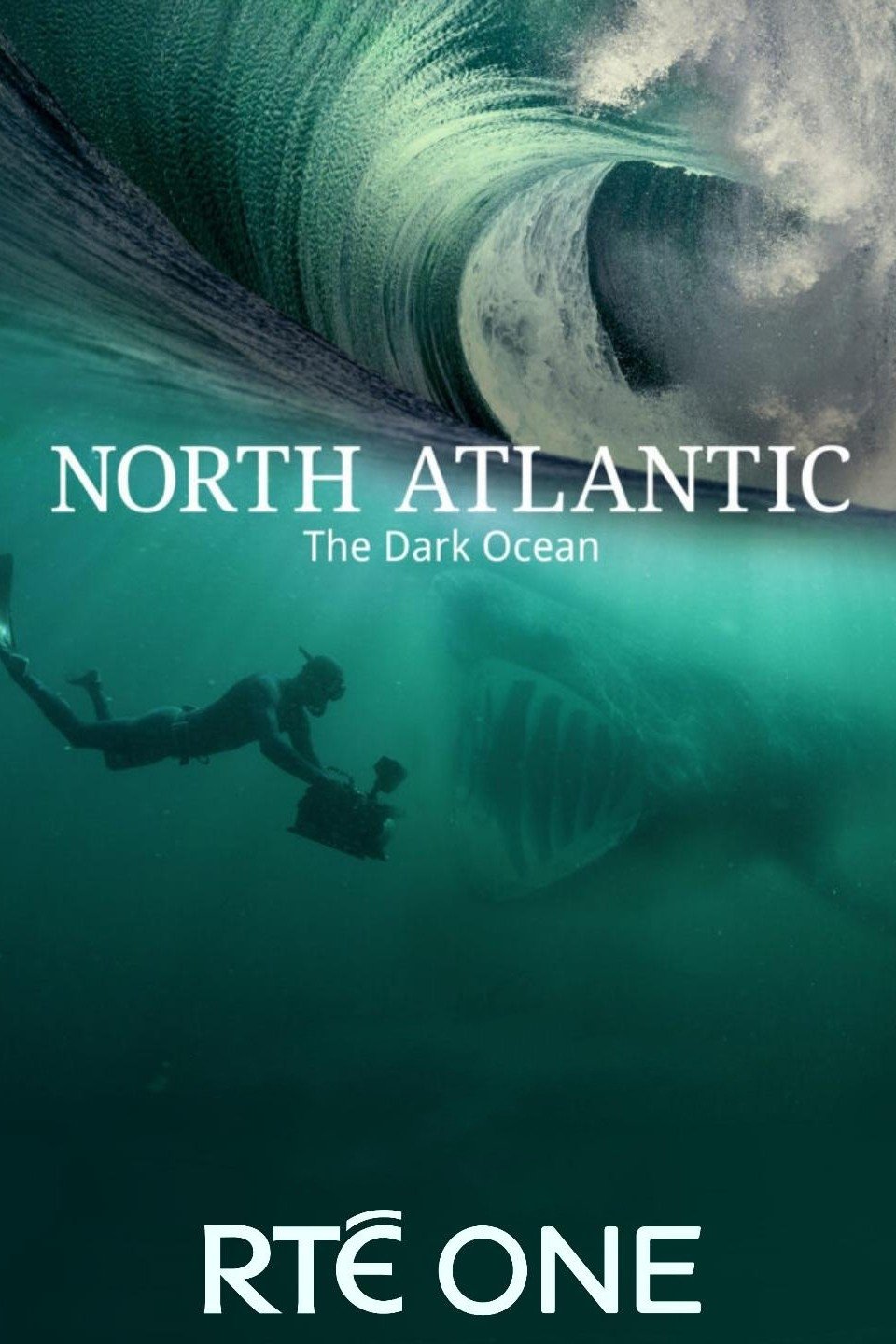 Poster de North Atlantic: The Dark Ocean