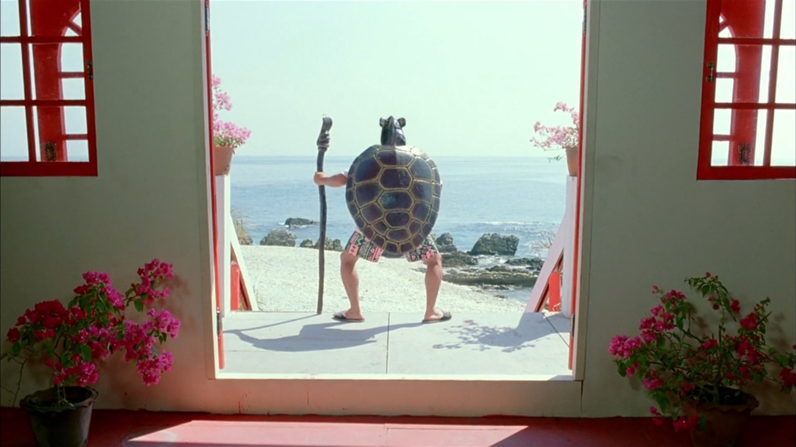 Backdrop image