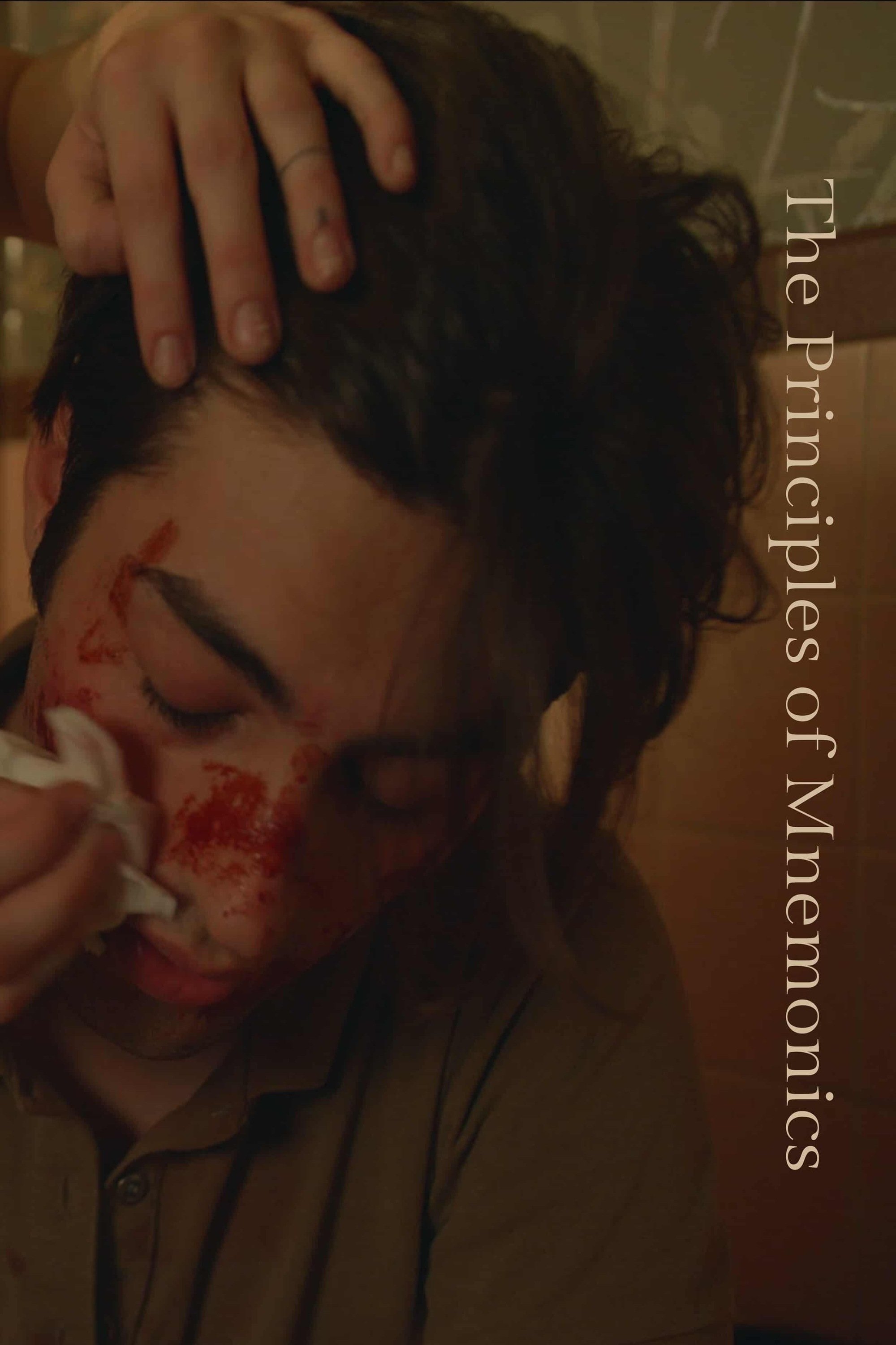 Poster de The Prinicples of Mnemonics